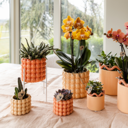 Kolibri Home | Mohn Sierpot - Orange - Ø9cm