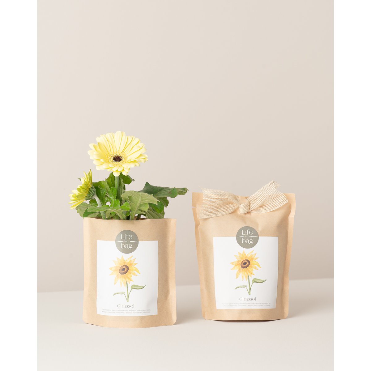 Bolsa de cultivo girasol