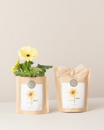 Crea girasole per sacchetti