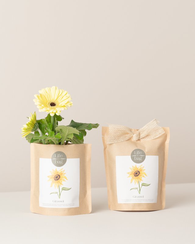 Crea girasole per sacchetti