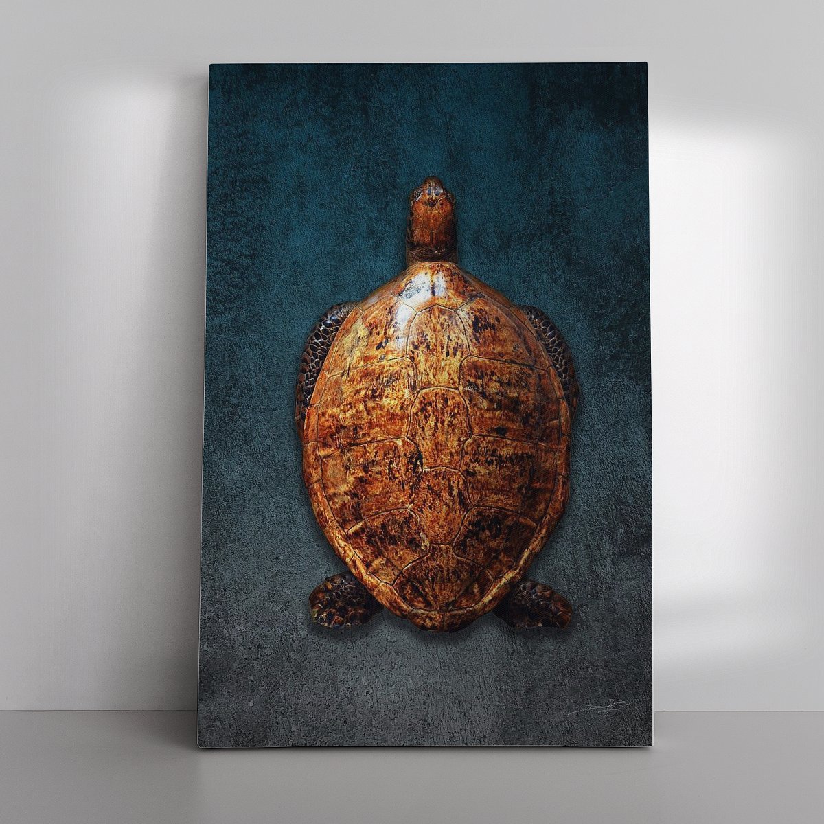 Canvas Wall Art - Teteruga (tartaruga)