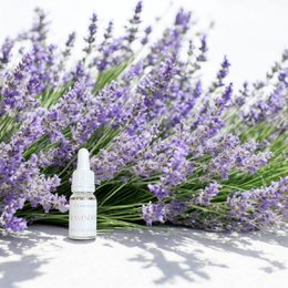 Lavender essential oil, 10ml/0.34oz, in a glass bottle surrounded by fresh lavender flowers. The essential oil is a natural, pure, and therapeutic product.