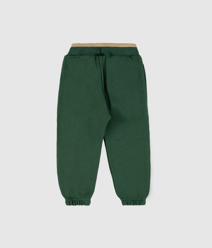 Rollgrüne Hose