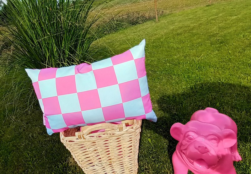 Outdoor Kussen geblokt/hart 40x60 (blauw/roze)