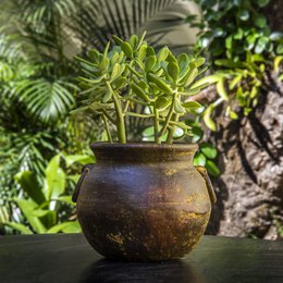 Clay flower pot, Ollita Argollas