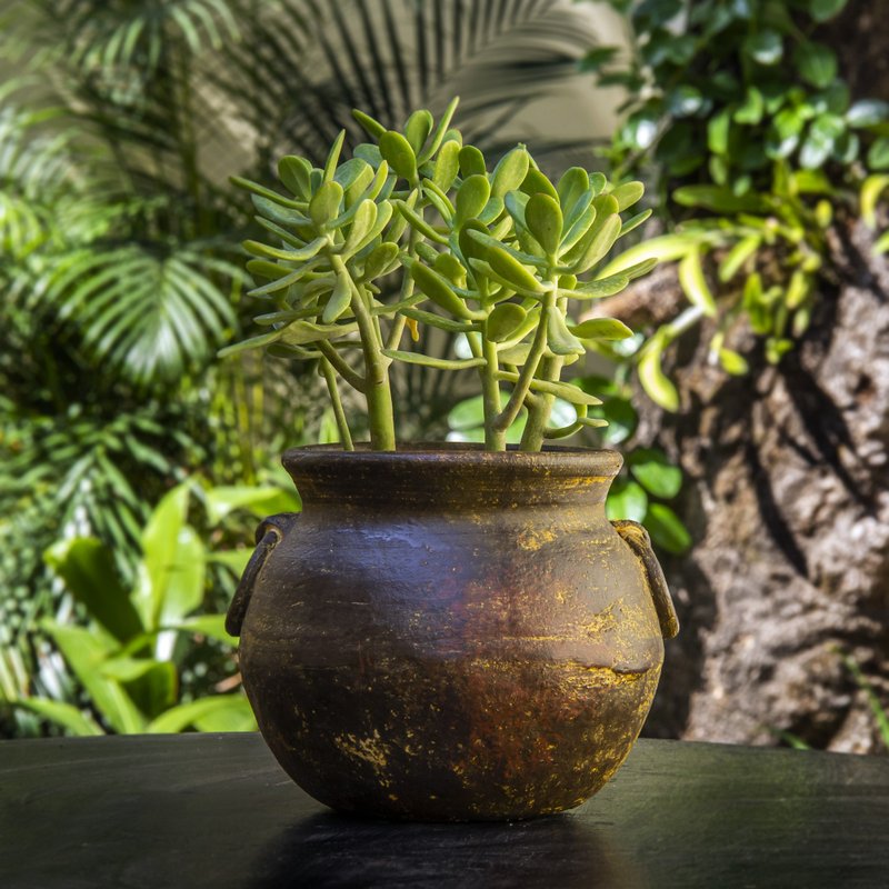 Clay flower pot, Ollita Argollas