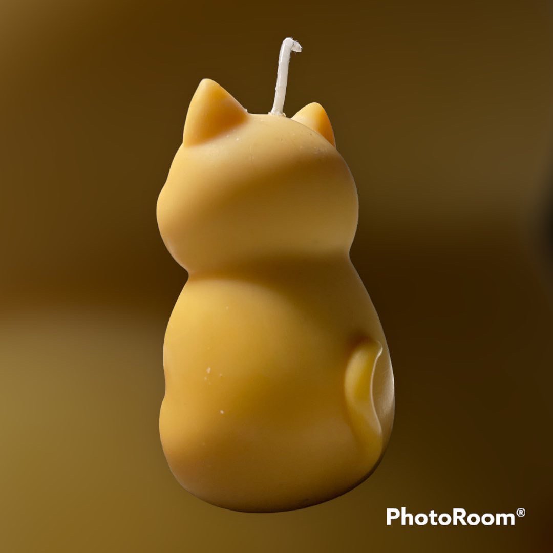 Meow! Bring me Home! Adorable Kitten Candle