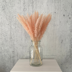 Pampas grass pink 15 pieces