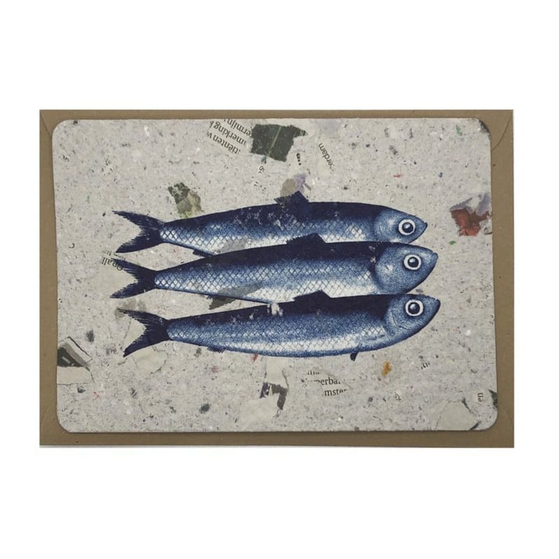 sardines