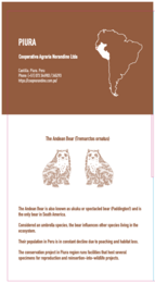 Piura 70% - Peru - BIO