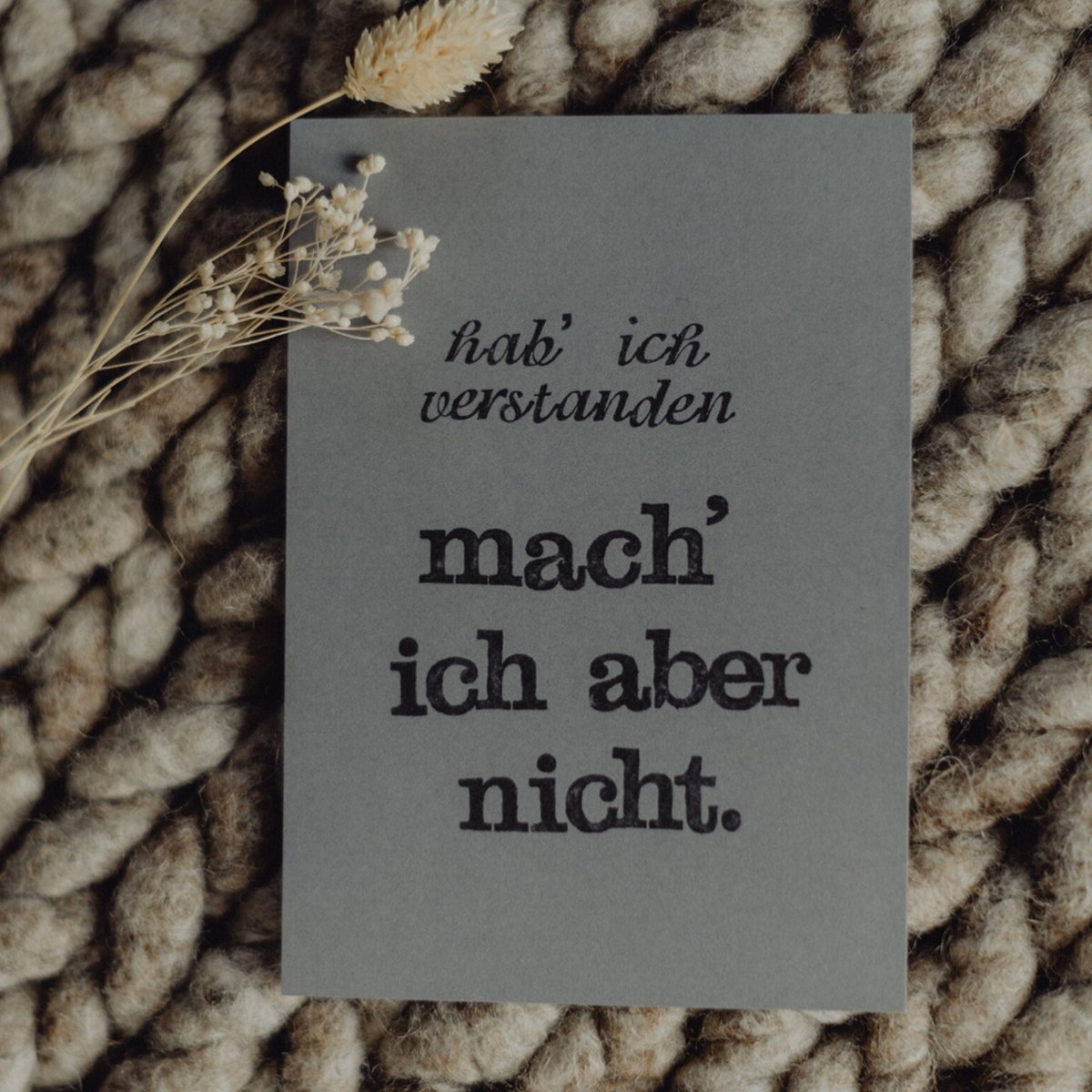 Gestempelte Postkarte "Hab ich verstanden"
