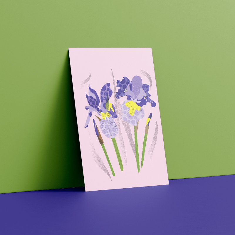 Postkort - iris