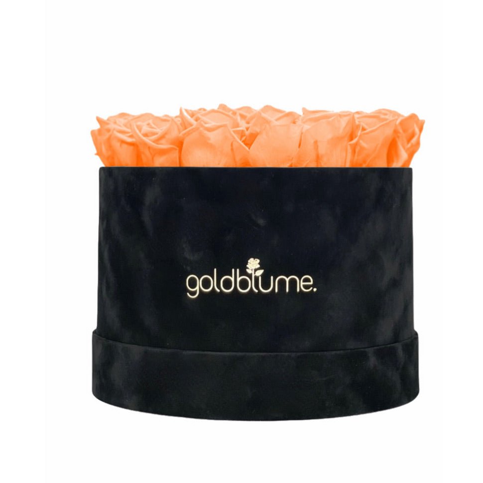 Velvet Black-collectie