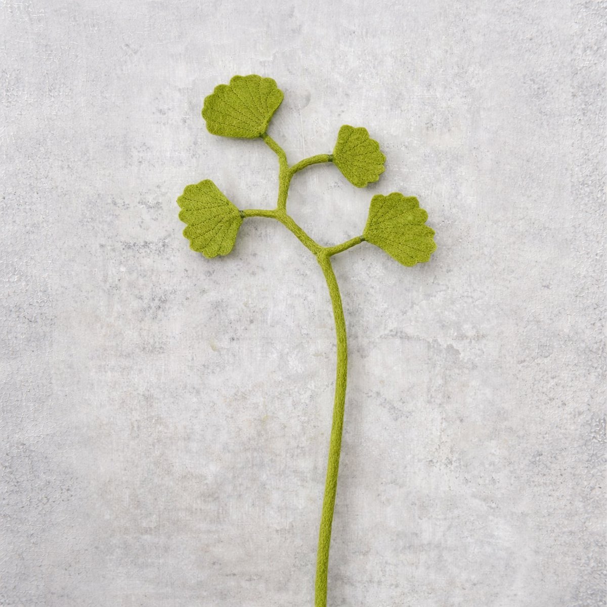 Ginko 4 feuilles