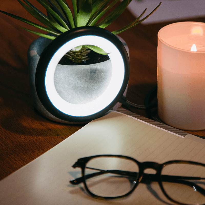 💡Lamm Nomade Bily Obi-one 💡