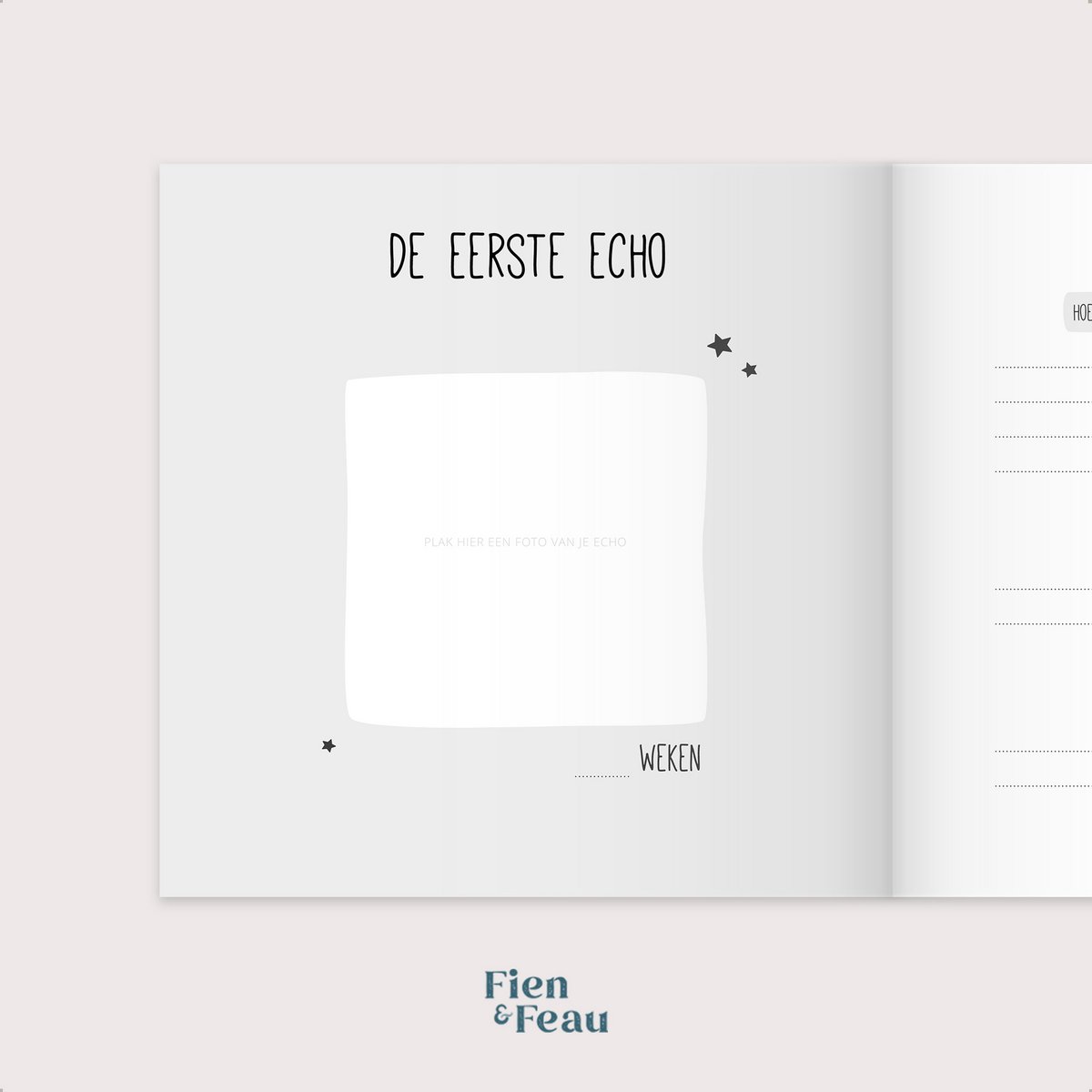 Negen maanden boek | roestbruin | heelal