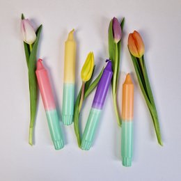 DIP DYE  Tulip Garden