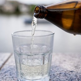 Bio Aloe Vera Direktsaft - Reine Pflanzenkraft