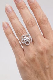 Bague en acier inoxydable ajustable