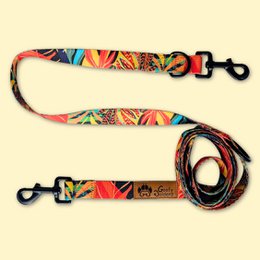 Tropical multi-position leash