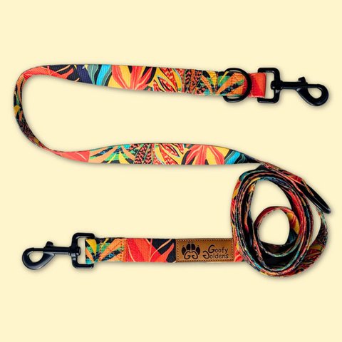 Tropical multi-position leash