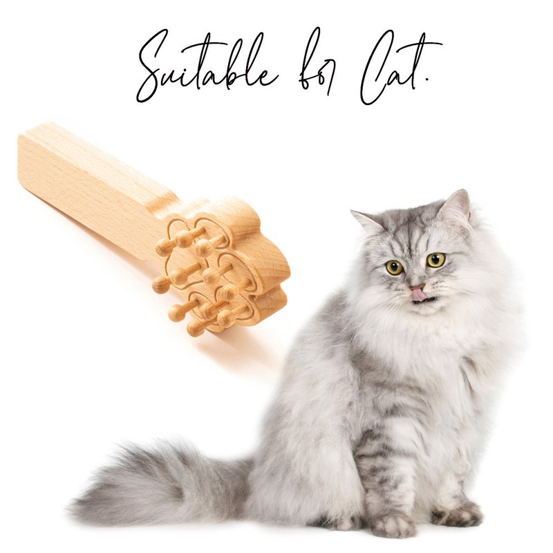 Spazzola Massaggiatrice in Legno per Cani, Gatti, Cavalli, Massaggio per Animali