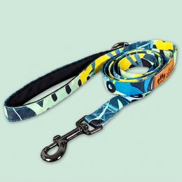 Correa para perros de arrecife