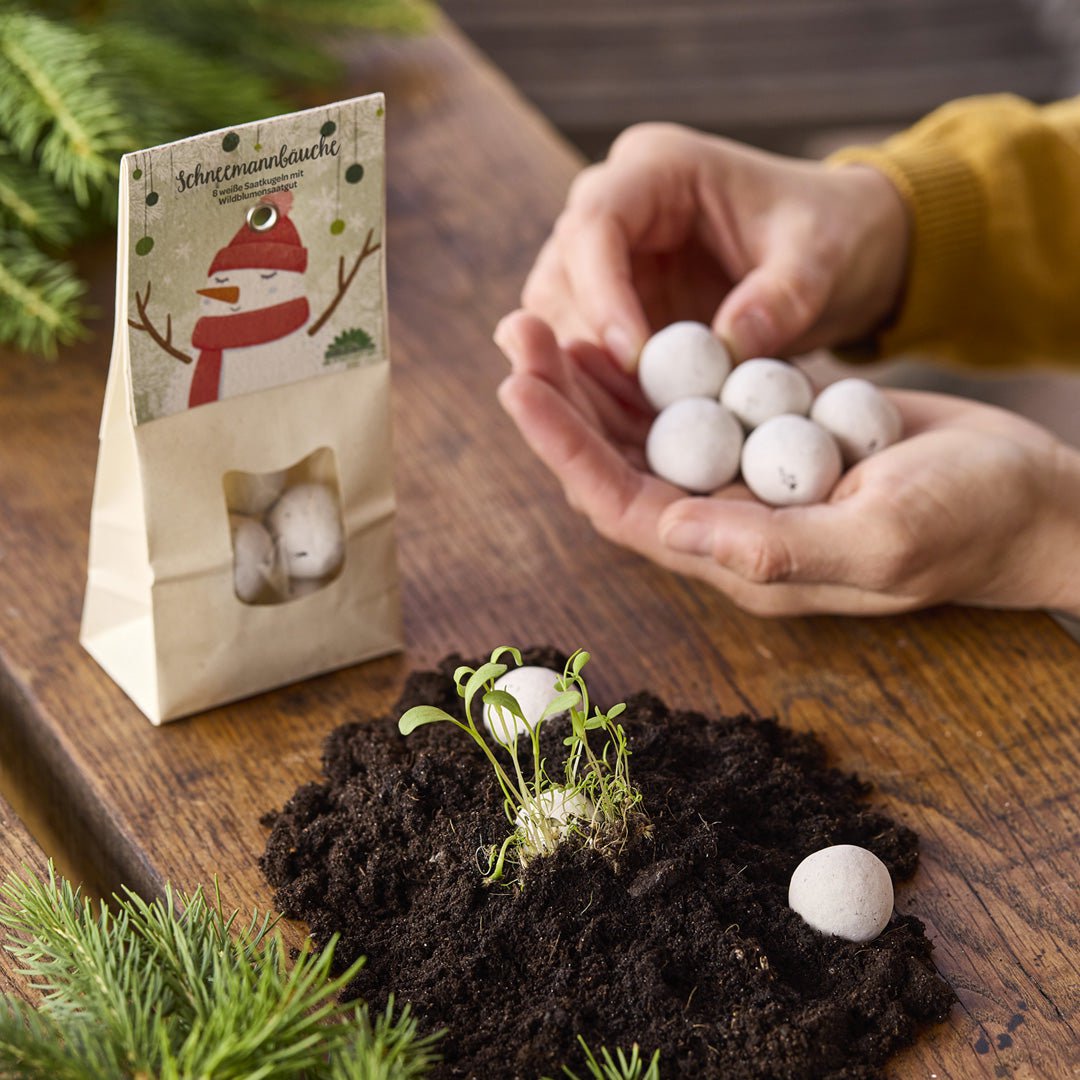 Schneemannbäuche - Weiße Blumenmurmeln
