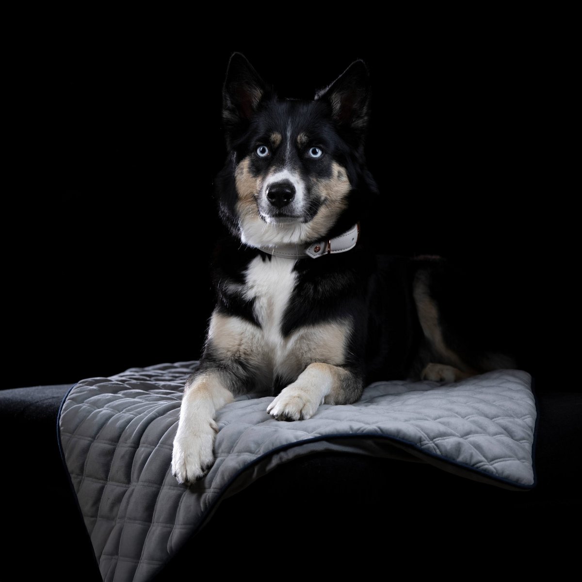Coperta in velluto OXFORD per cani