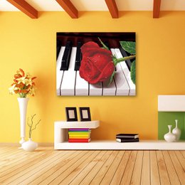 Kit hybride Piano Rose