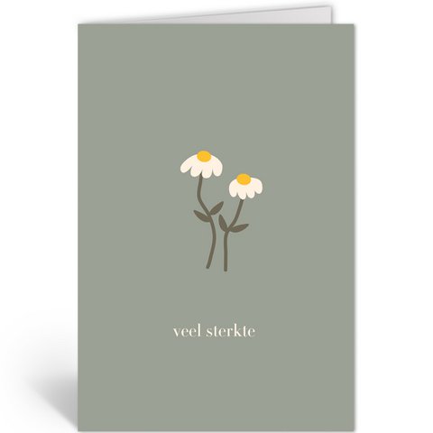 DLN105 - Margrietjes
