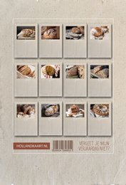 calendario di compleanno