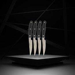 Set 4 coltelli bistecca 22 cm Nirosta Fit