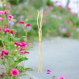 Zestaw 3 rattanowych łodyg z gałązkami - Naturalna dyfuzja perfum