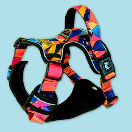 Panache Comfort Y Harness