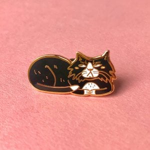 Geërgerde Cat Pin, hard email