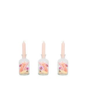 Getrocknete Blumen – Brightness Vase – Blush
