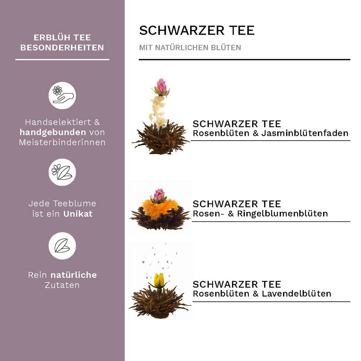 Creano 6er ErblühTee-Set Schwarztee Teerosen