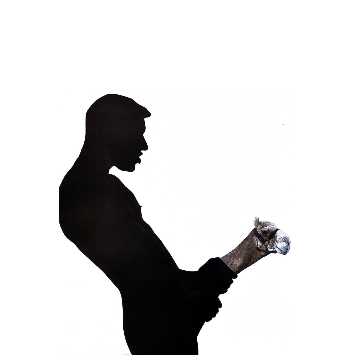 Erotic08