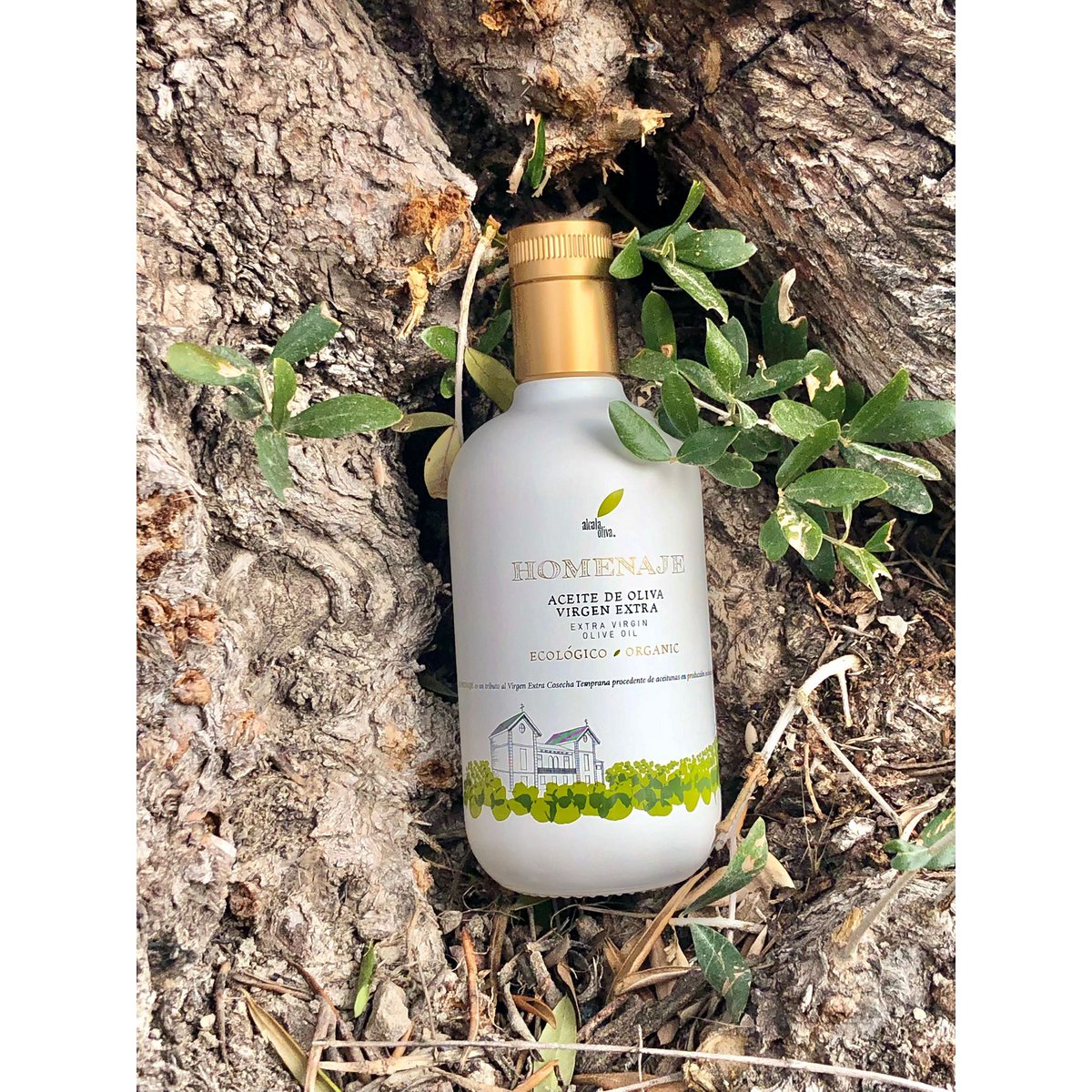 Aceite de Oliva Virgen Extra "Homenaje" 500 ml