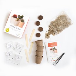CULTIVEA® Mini Ready to Grow Cactus Kit - Have og dekoration - Gaveidé (Pitaya "Dragon Fruit", Ferocactus, Pilosocereus og Cactus Mix) - Made In France - DIY