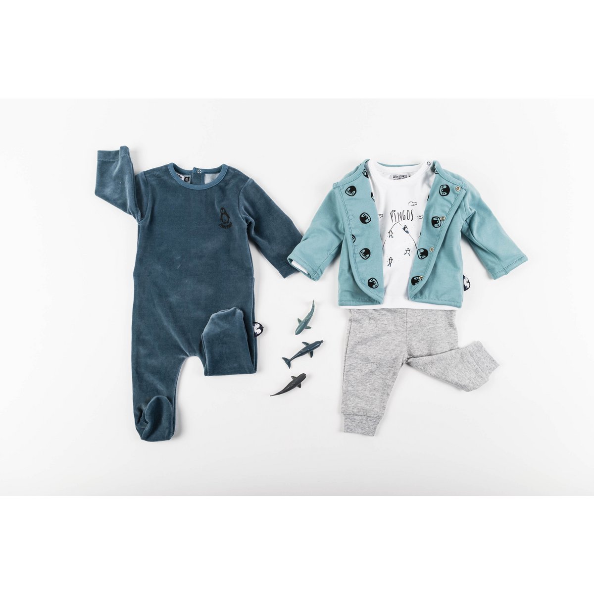 PINGO BABYGROW