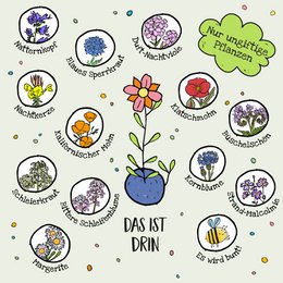 1er Blumenmurmel 'Finns Wilde Wiese'