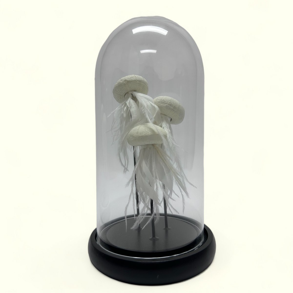 JELLYFISH - SORT(YF-03)