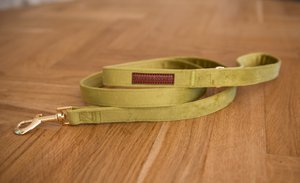 Velvy olivia leash