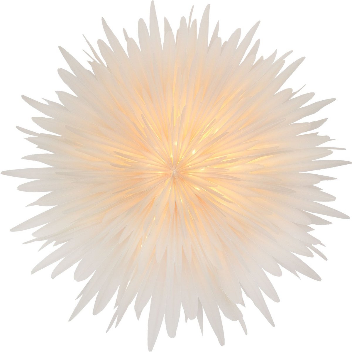 Stella-Dalia, papier sulfurisé blanc 40 cm