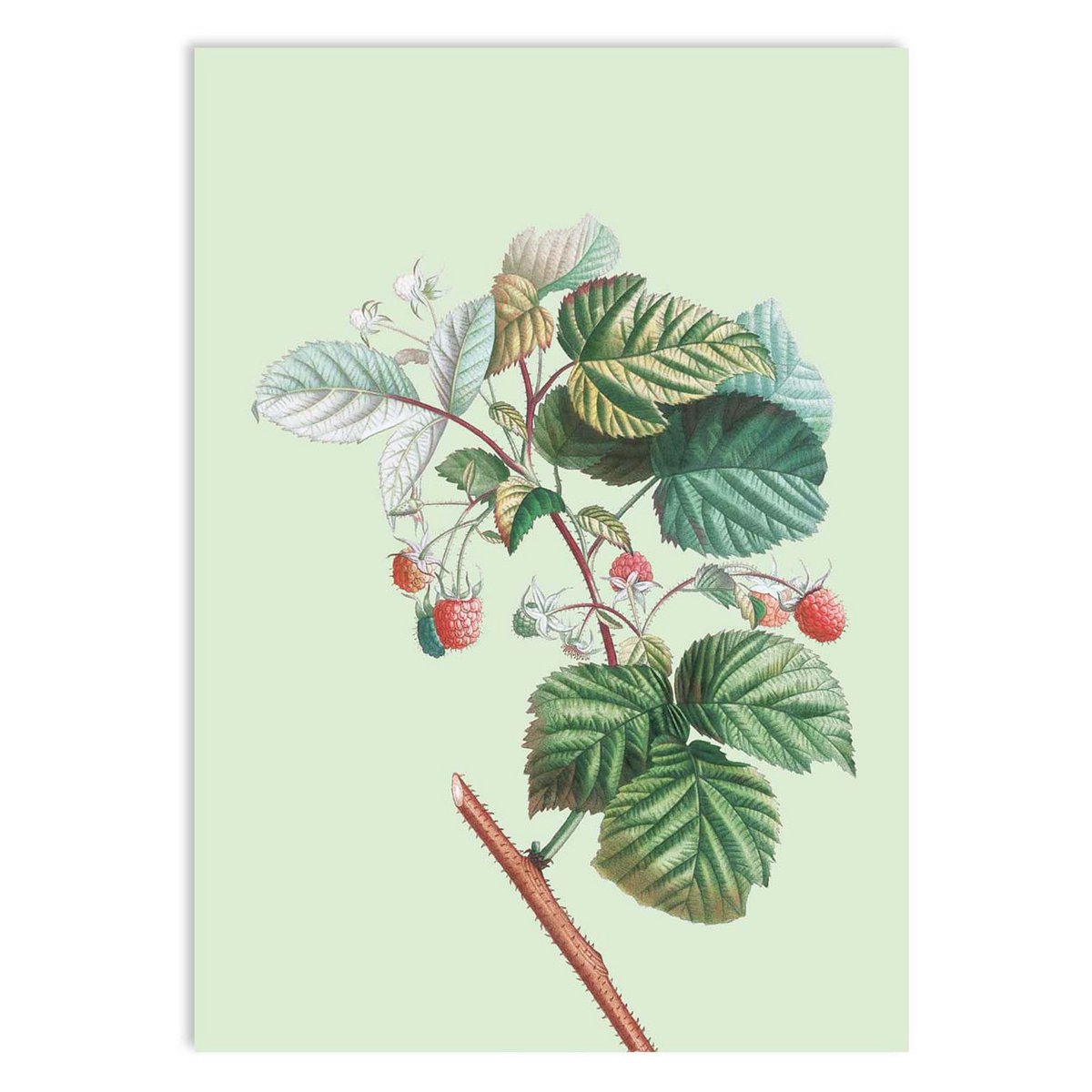 Miniprint A5 So High