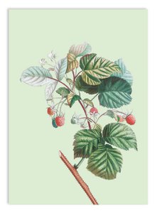 Miniprint A5 So High