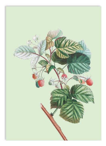 Miniprint A5 So High