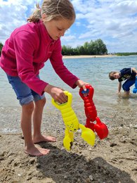 Sand Snapper, gul sandgriber i krabbedesign